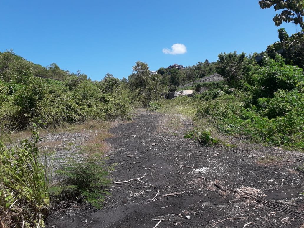 1 BIDANG TANAH DENGAN TOTAL LUAS 200 M 2 DI KABUPATEN BADUNG 