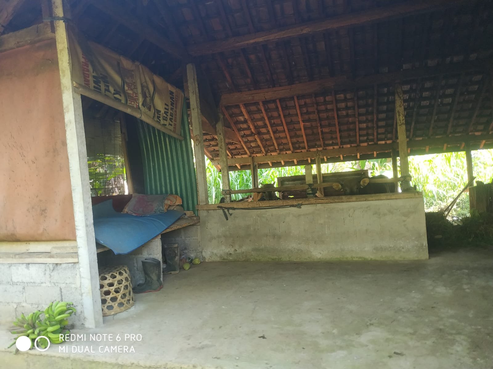 1 BIDANG TANAH DENGAN LUAS 5750 M2 DI KABUPATEN TABANAN 