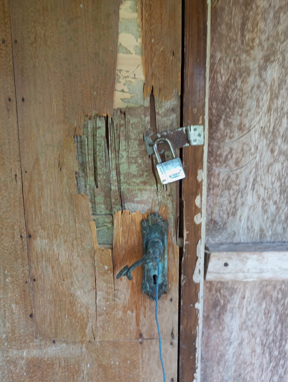 1 BIDANG TANAH DENGAN LUAS 2935 M2 DI KABUPATEN TABANAN 