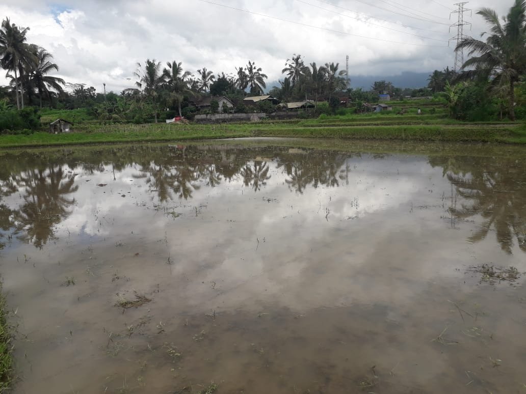 1 BIDANG TANAH DENGAN LUAS TOTAL 5750 M2 DI KABUPATEN TABANAN 