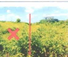 1 BIDANG TANAH DENGAN LUAS TOTAL 480 M2 DI KABUPATEN TABANAN 