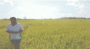 1 BIDANG TANAH DENGAN LUAS 3200 M2 DI KABUPATEN TABANAN 