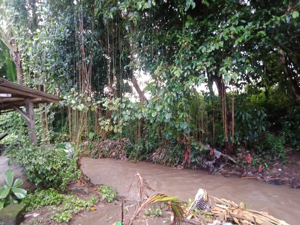 1 BIDANG TANAH DENGAN LUAS 480 M2 DIKABUPATEN TABANAN 