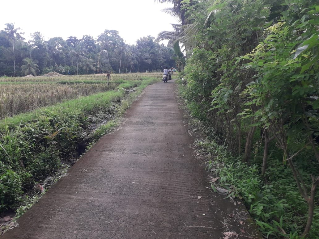 BIDANG TANAH DENGAN LUAS TOTAL 1350 M2 DI KABUPATEN TABANAN 