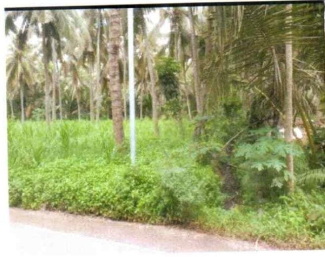 1 BIDANG TANAH DENGAN TOTAL LUAS 735 M2 DI KABUPATEN LOMBOK TIMUR