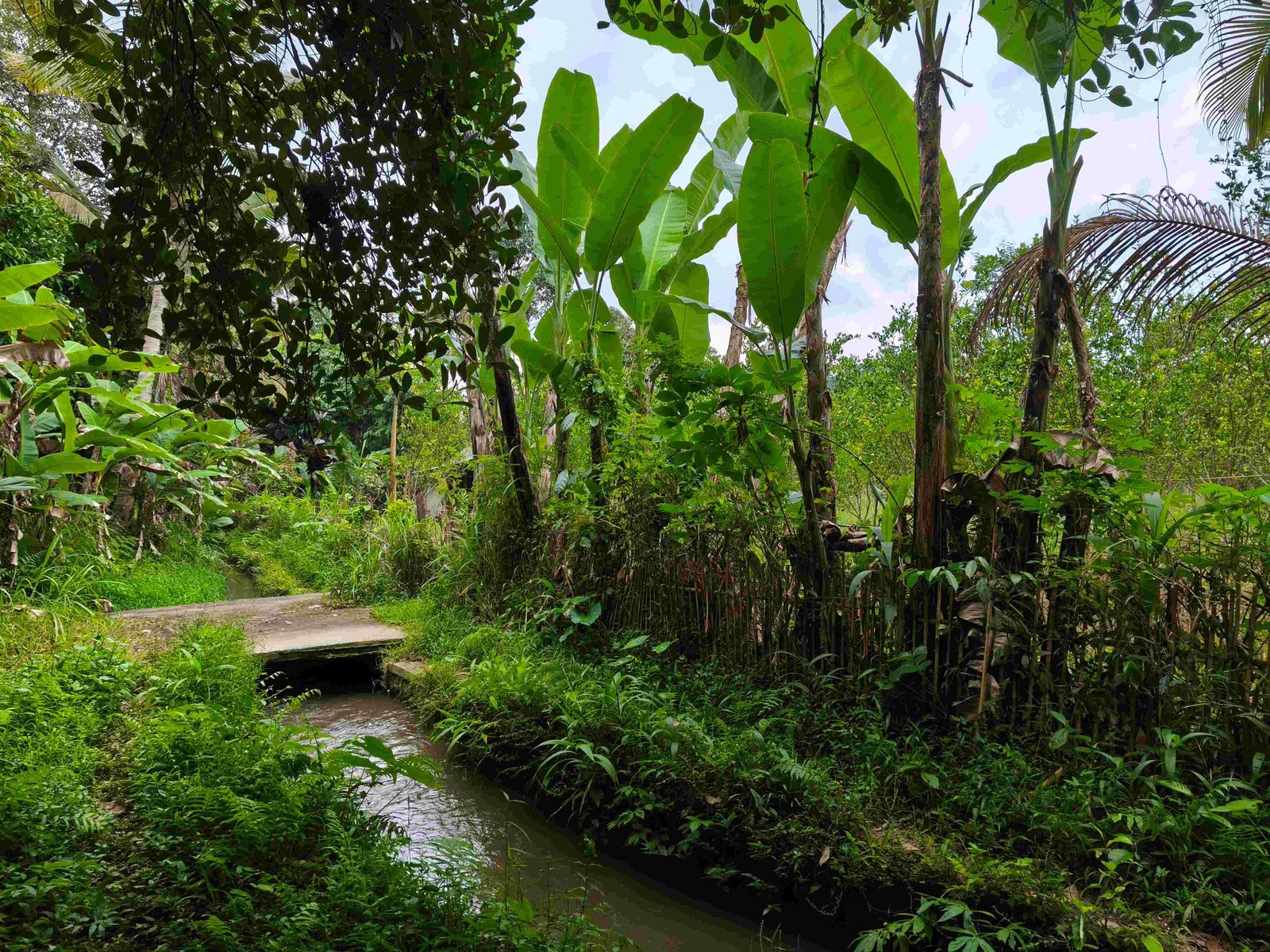 2 BIDANG TANAH DENGAN LUAS TOTAL 4100 M2 DI KABUPATEN TABANAN 