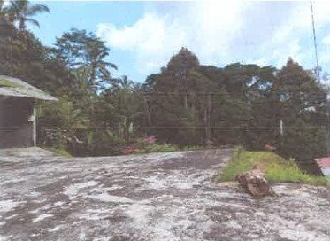 1 BIDANG TANAH DENGAN LUAS 3350 M2 BERIKUT BANGUNAN DI KABUPATEN TABANAN 