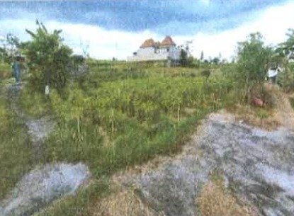 1 BIDANG TANAH DENGAN LUAS 155 M2 DI KABUPATEN TABANAN 