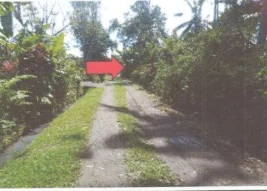 1 BIDANG TANAH DENN LUAS 3050 M2 DI KABUPATEN TABANAN 