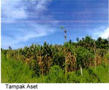 1 BIDANG TANAH DENGAN TOTAL LUAS 854 M2 DI KABUPATEN LOMBOK TIMUR