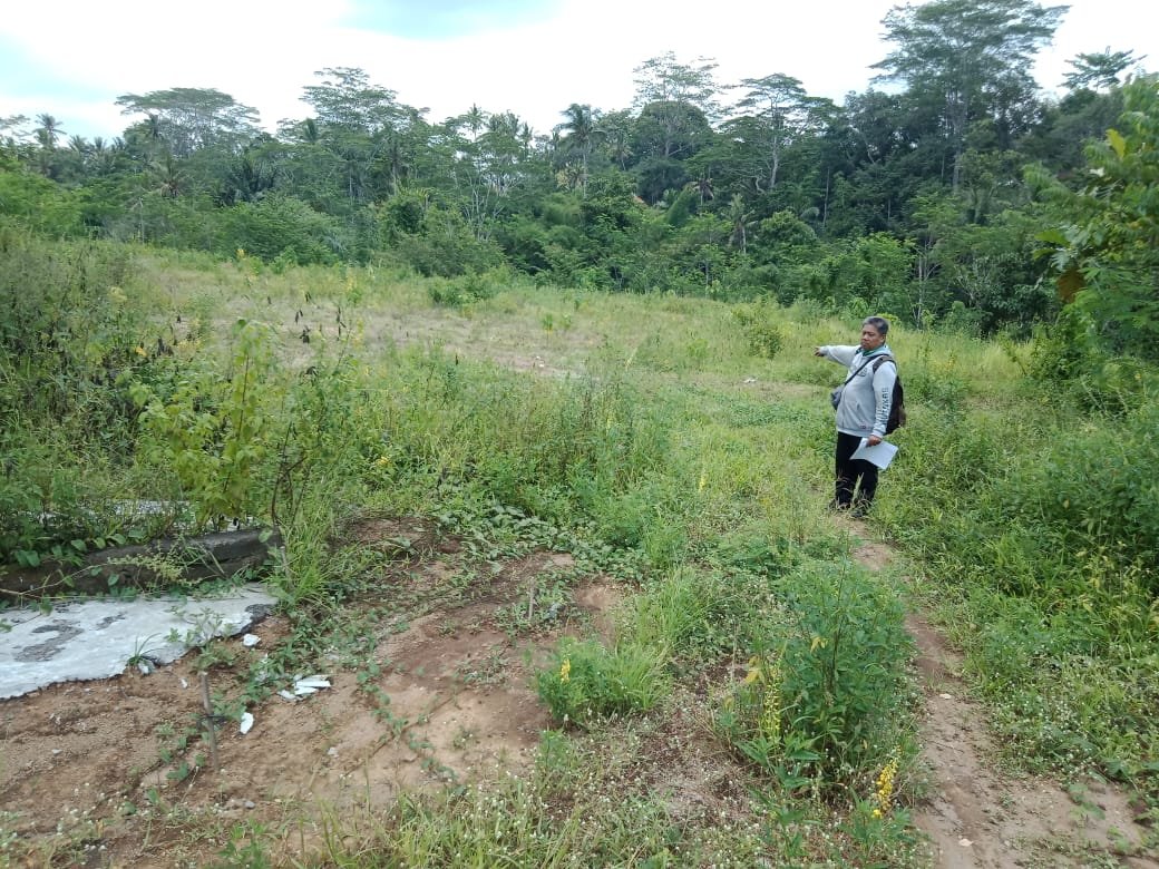 1 BIDANG TANAH DENGAN LUAS TOTAL 3000 M 2 DI KABUPATEN GIANAYAR 