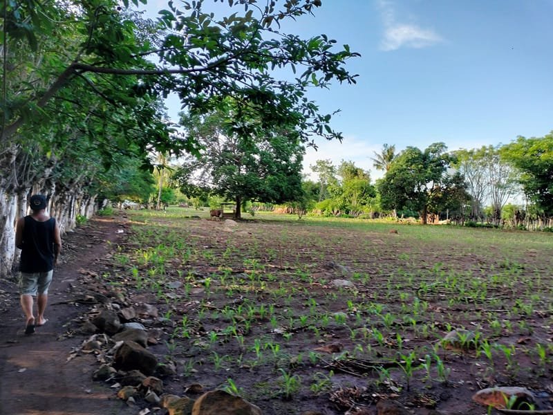 1 BIDANG TANAH DENGAN TOTAL LUAS 10100 M2 DI KABUPAREN SUMBAWA