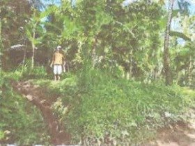 1 BIDANG TANAH DENGAN LUAS 6065 M2 DI KABUPATEN GIANYAR 