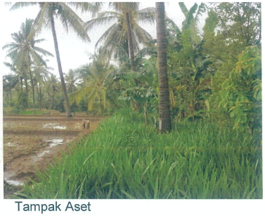 1 BIDANG TANAH DENGAN TOTAL LUAS 12064 M2 BERIKUT BANGUNAN DI KABUPATEN LOMBOK UTARA