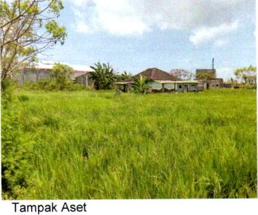 1 BIDANG TANAH DENGAN TOTAL LUAS 1351 M2 DI KABUPATEN LOMBOK TIMUR