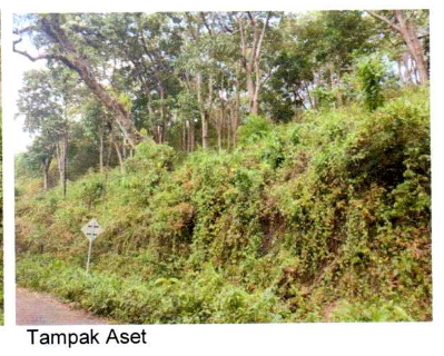 1 BIDANG TANAH DENGAN TOTAL LUAS 22160 M2 DI KABUPATEN SUMBAWA