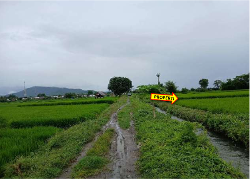 1 BIDANG TANAH DENGAN TOTAL LUAS 2452 M2 DI KABUPATEN SUMBAWA