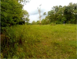 1 BIDANG TANAH DENGAN TOTAL LUAS 2.858 M2 DI KABUPATEN TIMOR TENGAH SELATAN
