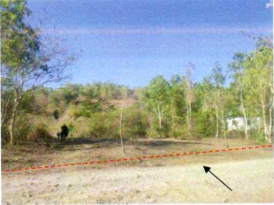 1 BIDANG TANAH DENGAN TOTAL LUAS 990 M2 DI KABUPATEN BELU