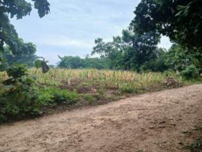 1 BIDANG TANAH DENGAN TOTAL LUAS 3.310 M2 DI KABUPATEN SUMBA BARAT DAYA