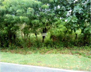 1 BIDANG TANAH DENGAN TOTAL LUAS 5.000 M2 DI KABUPATEN DOMPU